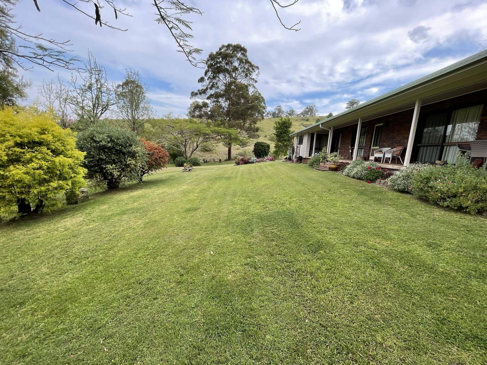 A striped, freshly mown lawn with flowering garden beds beside a brick country homestead near Kyogle